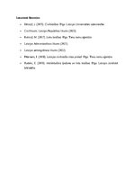 Eseja 'Lietu tiesību jēdziens', 7.