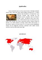 Referāts 'Rudā lapsa', 6.
