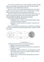 Konspekts 'Saziņas būtība un struktūra', 3.