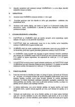 Paraugs 'Darbuzņēmuma līgums', 4.