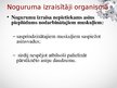 Prezentācija 'Skolēnu darbspējas; noguruma un darbspēju atjaunošanās ievērošana mācību procesā', 4.