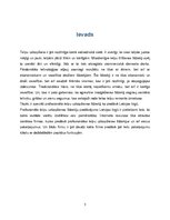 Referāts 'Uzkopšanas līdzekļu piedāvājums', 3.