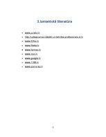 Referāts 'Uzkopšanas līdzekļu piedāvājums', 8.