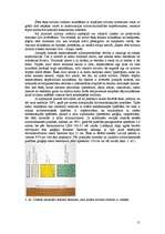 Referāts 'Sienas', 11.