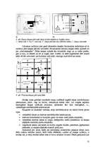 Referāts 'Sienas', 13.