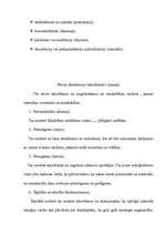 Referāts 'Meditācija', 4.