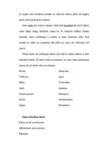 Referāts 'Meditācija', 49.