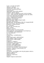 Konspekts 'Politikas terminoloģija', 1.