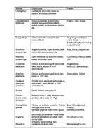 Konspekts 'Jēdzieni ģeogrāfijā', 2.