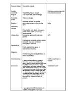 Konspekts 'Jēdzieni ģeogrāfijā', 4.