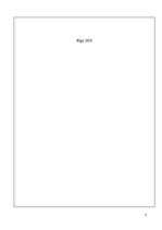 Referāts 'Reliģiskie priekšstati Divupē', 2.