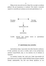 Referāts 'Apdrošināšana, tās pamatprincipi', 32.