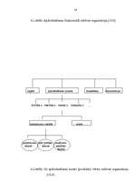 Referāts 'Apdrošināšana, tās pamatprincipi', 54.