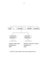 Referāts 'Apdrošināšana, tās pamatprincipi', 55.