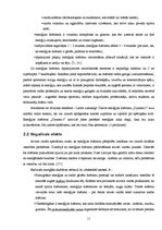 Diplomdarbs 'Enerģijas dzērieni', 11.