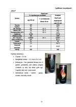 Diplomdarbs 'Enerģijas dzērieni', 23.