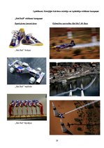 Diplomdarbs 'Enerģijas dzērieni', 29.