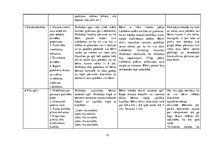 Prakses atskaite 'Aktīvā mācību un audzināšanas prakse pirmsskolā', 13.