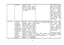 Prakses atskaite 'Aktīvā mācību un audzināšanas prakse pirmsskolā', 14.