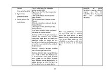 Prakses atskaite 'Aktīvā mācību un audzināšanas prakse pirmsskolā', 26.