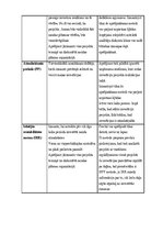 Referāts 'Investīciju projekts SIA „Ripo International LTD“ noliktavas paplašināšanai', 8.