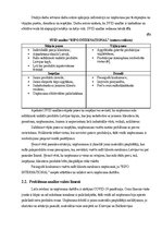 Referāts 'Investīciju projekts SIA „Ripo International LTD“ noliktavas paplašināšanai', 12.