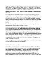 Konspekts 'Aleksandra Grīna darbs "Dvēseļu putenis"', 8.