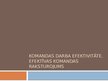 Prezentācija 'Komandas darba efektivitāte. Efektīvas komandas raksturojums', 1.