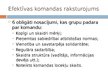 Prezentācija 'Komandas darba efektivitāte. Efektīvas komandas raksturojums', 6.