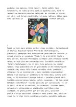 Biznesa plāns 'Patiesībā ir tā', 2.