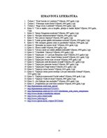 Konspekts 'Džudo attīstības etapi. Latvijas džudo attīstības etaps (1992.-2009.gads)', 15.