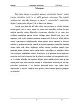 Referāts 'Autortiesību aizsardzība', 12.