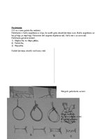 Konspekts 'Konspekts tiesu medicīnā', 46.