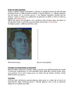 Konspekts 'Konspekts tiesu medicīnā', 50.