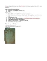 Konspekts 'Konspekts tiesu medicīnā', 51.