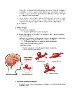 Konspekts 'Konspekts tiesu medicīnā', 63.