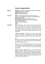 Konspekts 'Audumu apgleznošana', 1.