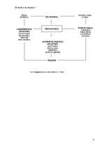 Eseja 'Pedagoģija kā zinātne', 7.