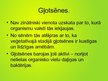Prezentācija 'Vienšūņi un gļotsēnes', 16.
