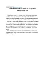 Referāts 'Atkartotu likumpārkāpumu novēršanas pamatprincipi', 8.