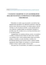 Referāts 'Atkartotu likumpārkāpumu novēršanas pamatprincipi', 11.