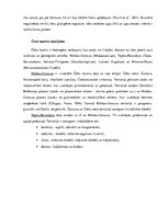 Referāts 'Čehu masīvs, tā paleoģeogrāfiskā attīstība un ģeoloģiskās uzbūves galvenās iezīm', 8.