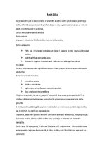 Referāts 'Skolēnu profesijas izvēle pēc 9.klases', 3.