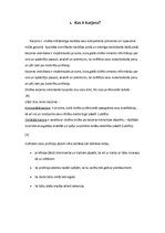 Referāts 'Skolēnu profesijas izvēle pēc 9.klases', 6.