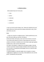 Referāts 'Skolēnu profesijas izvēle pēc 9.klases', 9.