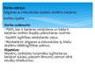 Referāts 'Skolēnu profesijas izvēle pēc 9.klases', 33.