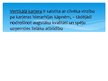Referāts 'Skolēnu profesijas izvēle pēc 9.klases', 37.