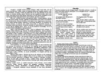 Konspekts 'Viduslaiki Rietumeiropā', 2.