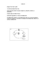 Paraugs 'Petri tīklu analīze', 2.