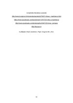 Referāts 'Ilonas Leimanes darba "Vilkaču mantiniece" analīze', 10.